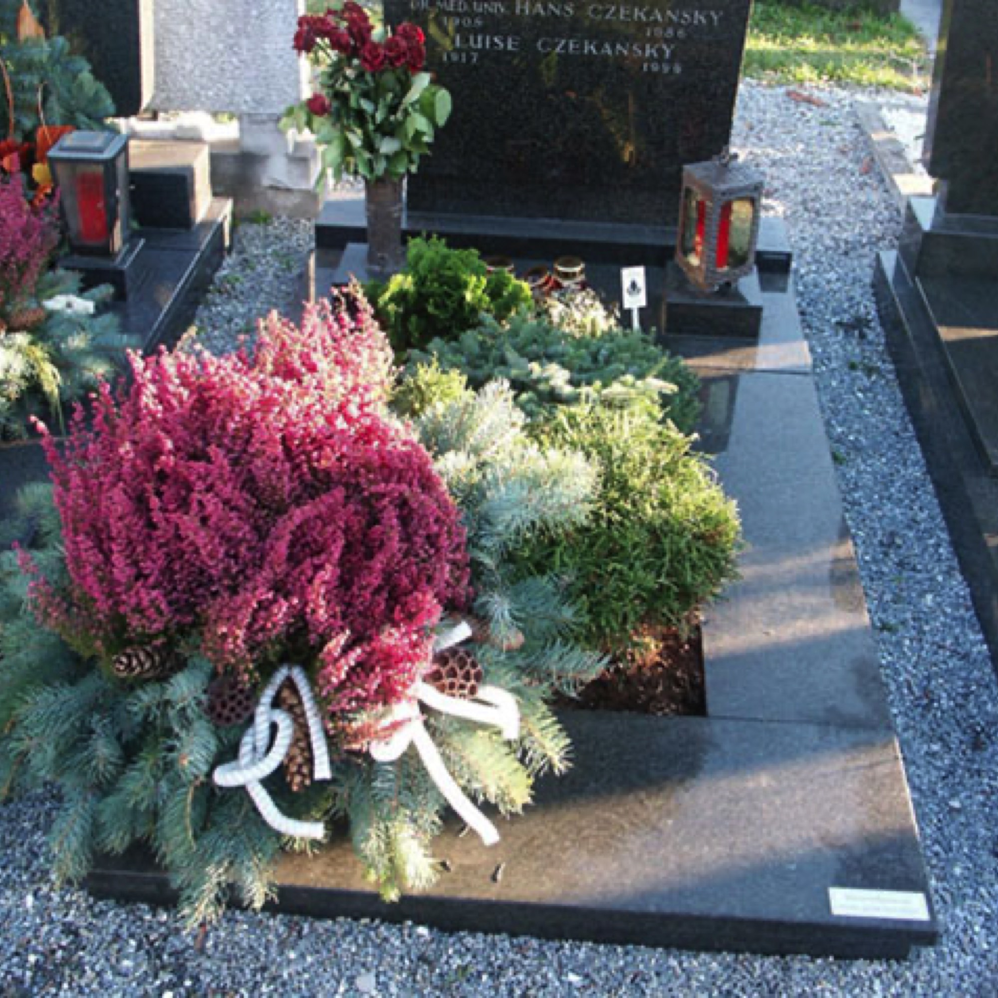 Erika - Schmuckschalen Friedhofsgärtnerei Provasnek Graz