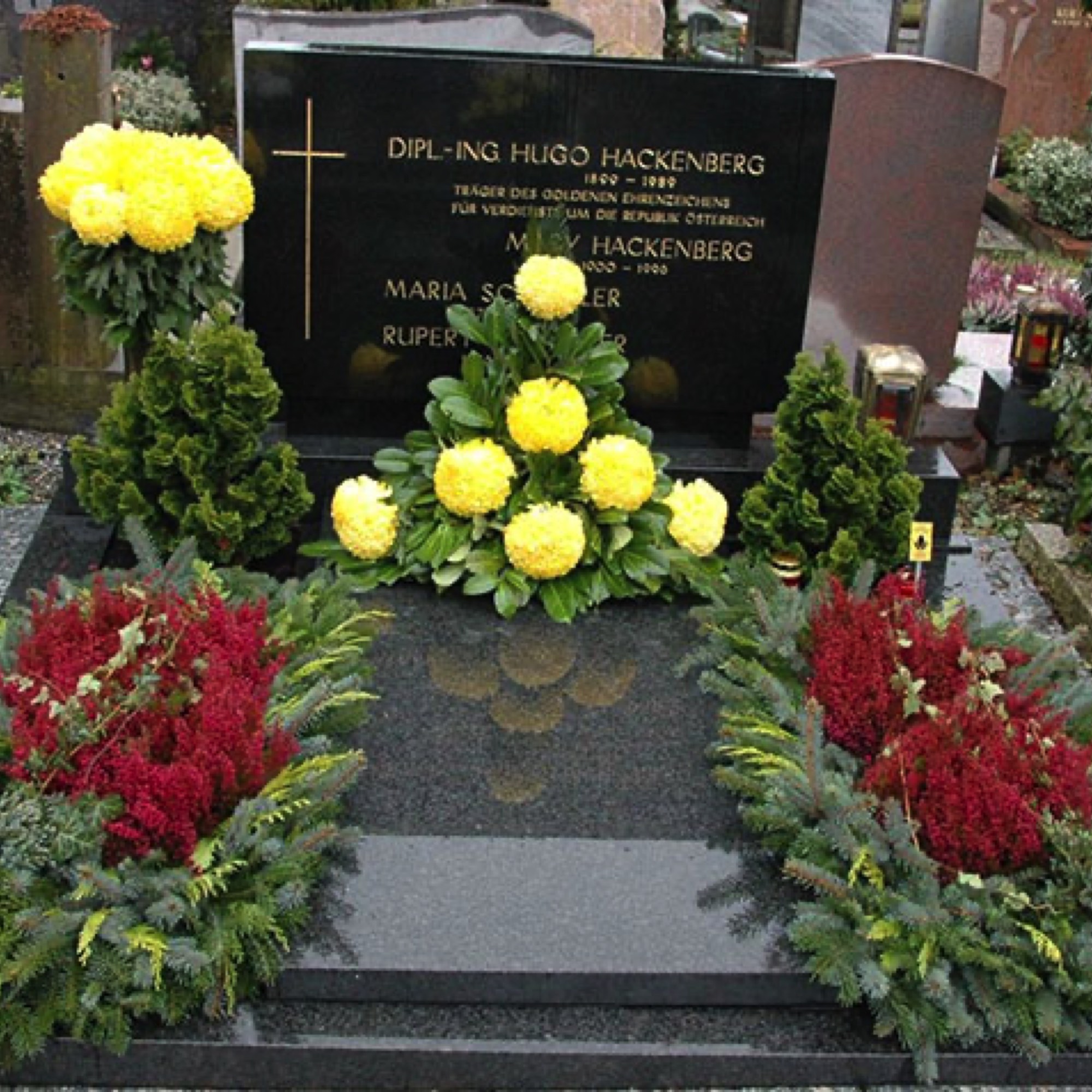 Chrysanthemen, Erika-Schmuck Friedhofsgärtnerei Provasnek Graz